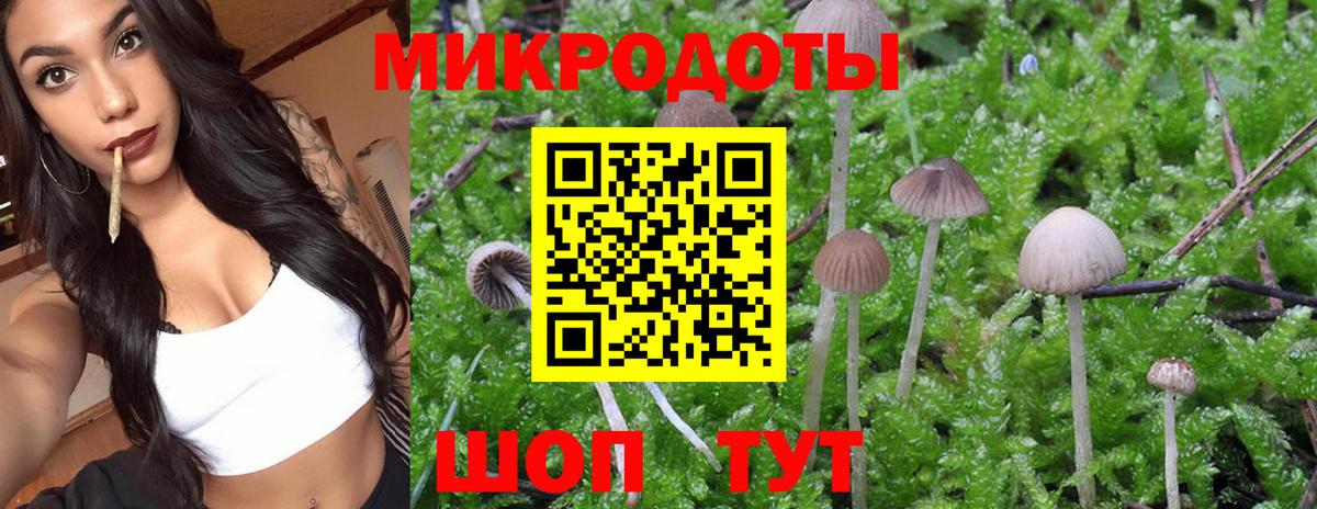 Галлюциногенные грибы ЛСД  хочу   Киров  Вход с VPN 